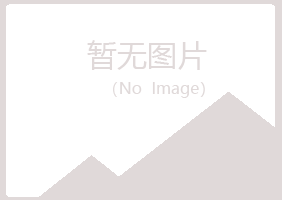 黑河字迹咨询有限公司